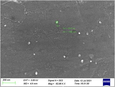 Characterizing Oligomeric Hydroxyl Silicon Oils by MALDI-TOF MS With the Pyridine-Modified Matrix